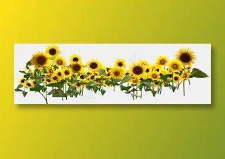 向日葵免抠素材PNG分层