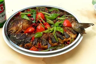 阳朔啤酒鱼图片