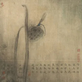 残荷图 残荷图
