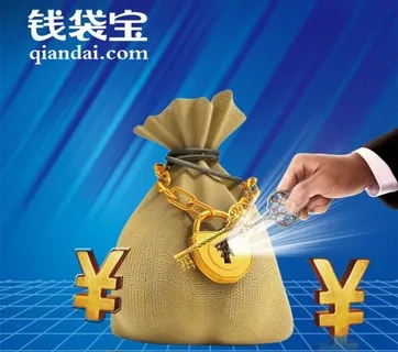 钱袋宝图片