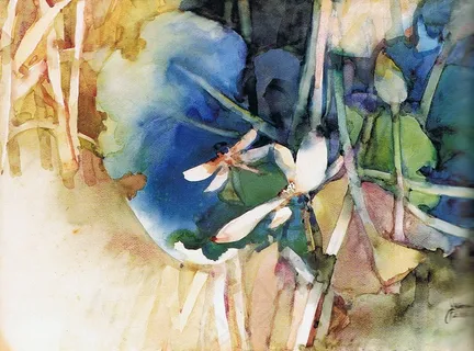 水彩花卉图片 水彩花卉图片