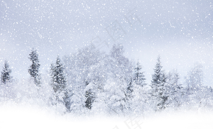 冬天雪景图片