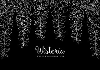 手绘唯美花卉背景素材