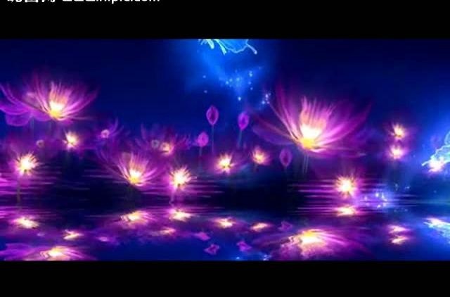 荧光荷花蝴蝶舞台视频图片