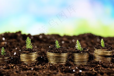 金币嫩芽小树苗孵化培育理财商务金融财富主题素材