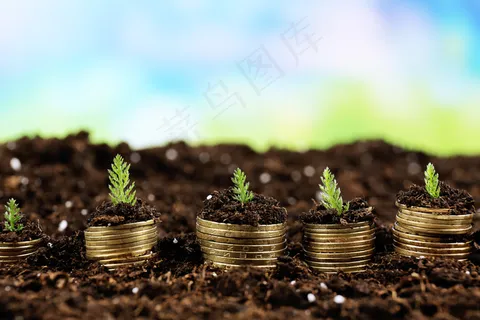 金币嫩芽小树苗孵化培育理财商务金融财富主题素材 金币嫩芽小树苗孵化培育理财商务金融财富主题素材