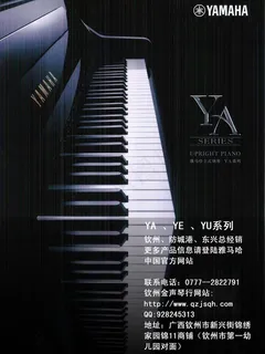 钢琴培训班海报图片