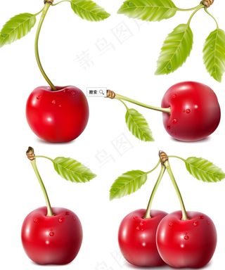 逼真诱人的樱桃矢量素材