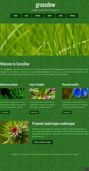 环保宣传类网页