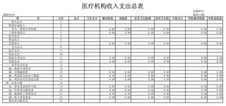 医疗机构收入支出总表