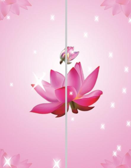 梦幻荷花衣柜移门图片