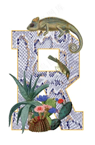 蜥蜴插画