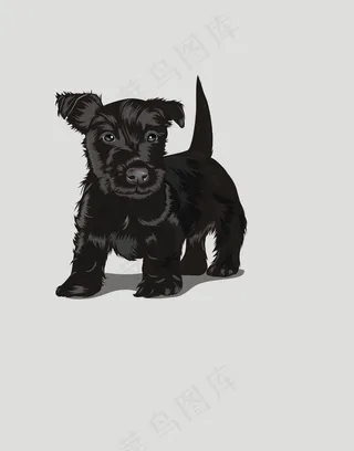 卡通动物狗插画