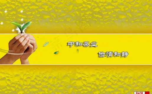 铁观音茶叶公司网站