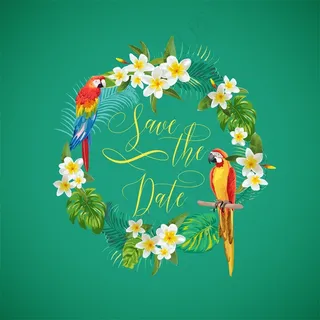 卡通鹦鹉花环图片