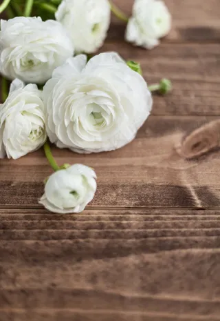 简约小清新文艺风插花静物摆拍背景