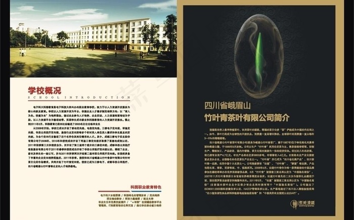 招生简章图片cdr矢量模版下载