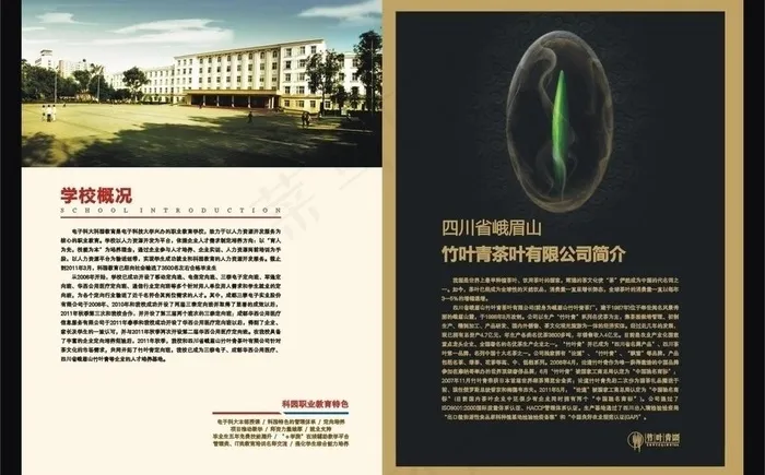 招生简章图片cdr矢量模版下载
