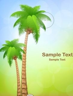 夏日海边 椰子树图片