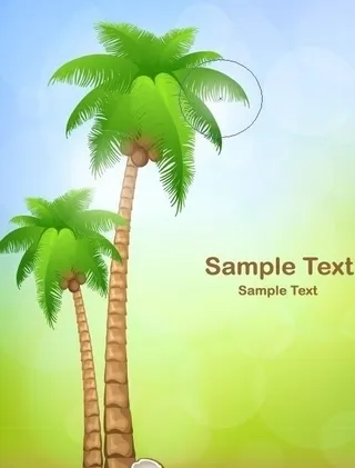 夏日海边 椰子树图片