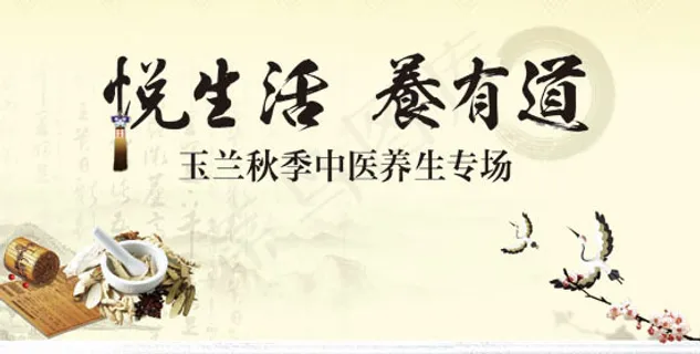 中医养生宣传