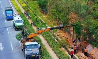 交通建设 道路绿化