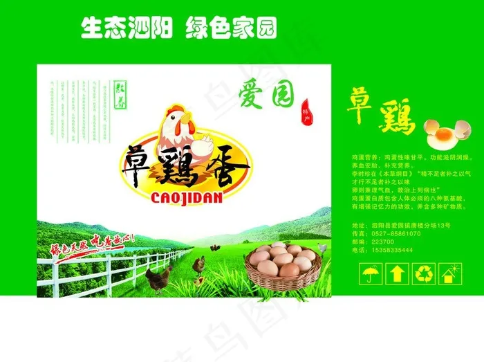 草鸡蛋包装图片psd模版下载