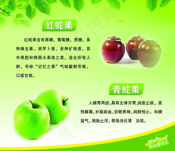 水果简介图片