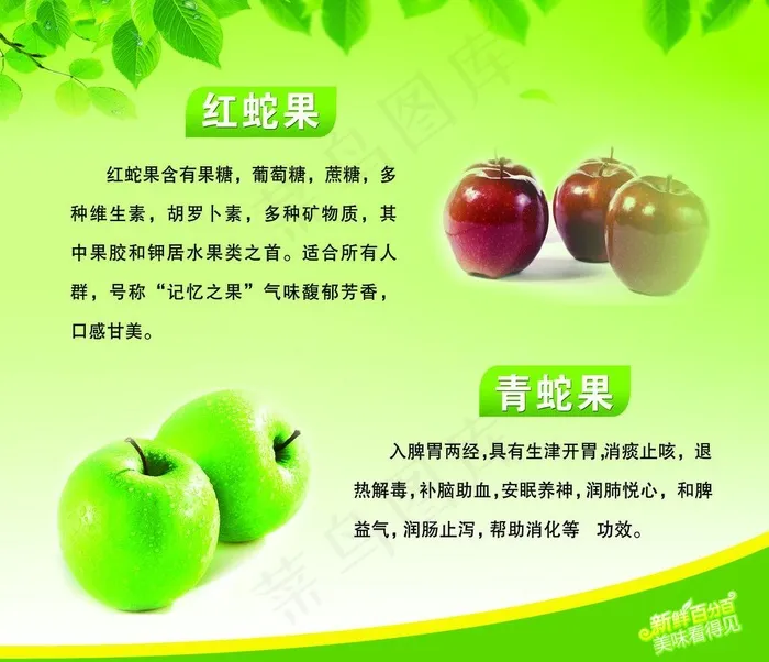 水果简介图片psd模版下载