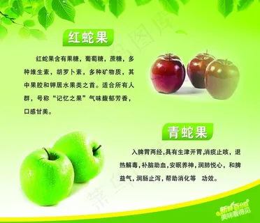水果简介图片