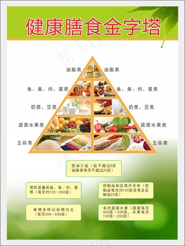 健康膳食金字塔cdr矢量模版下载