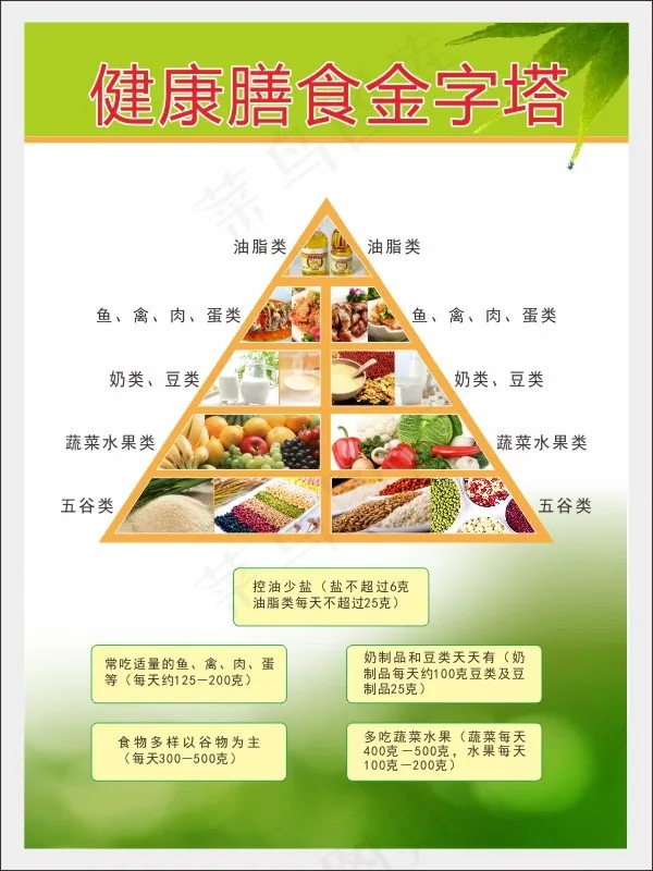 健康膳食金字塔cdr矢量模版下载