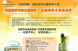 招生宣传单图片