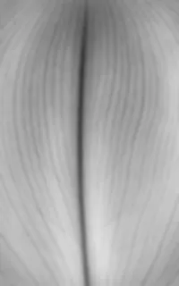 3d模型素材 3d模型素材