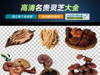 名贵药材灵芝中药图片海报PNG透明...