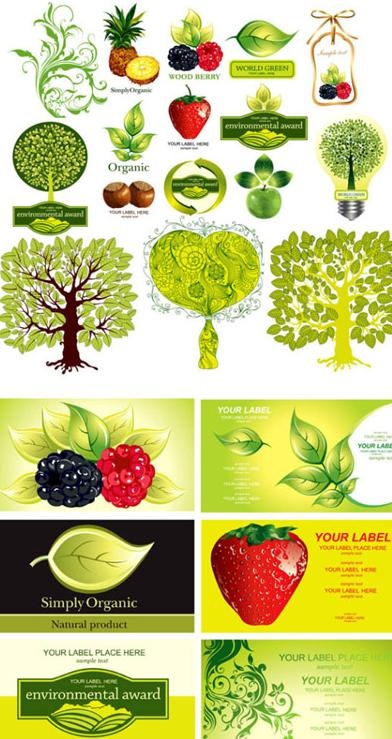 花纹水果与植物绿叶主题矢量素材