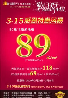 莱茵阳光地板315海报图片