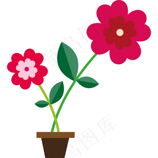 菊花 花 爱情 玫瑰 情人节