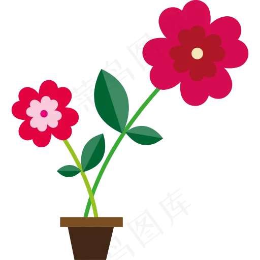 菊花 花 爱情 玫瑰 情人节