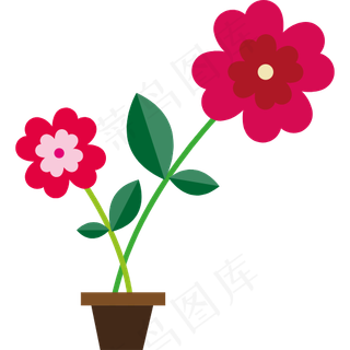 菊花 花 爱情 玫瑰 情人节