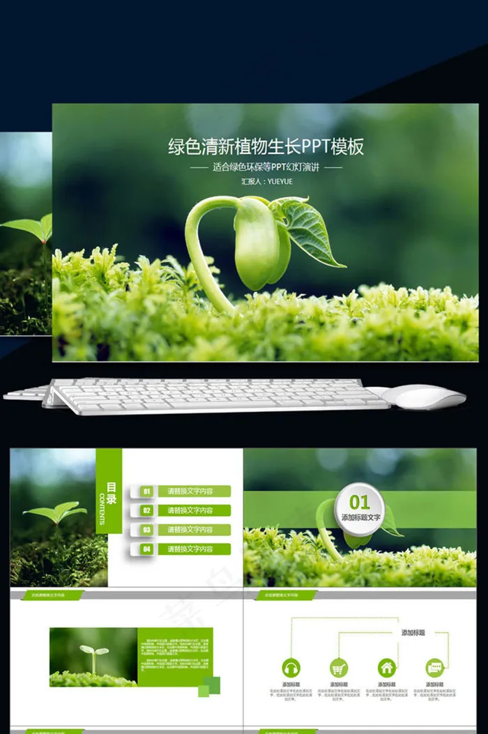 绿色清新植物生长PPT模板