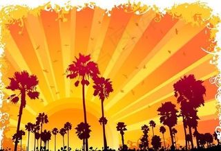 椰子树主题插画矢量素材 eps格式...