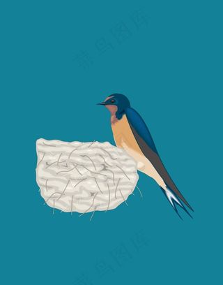 鸟装饰插画
