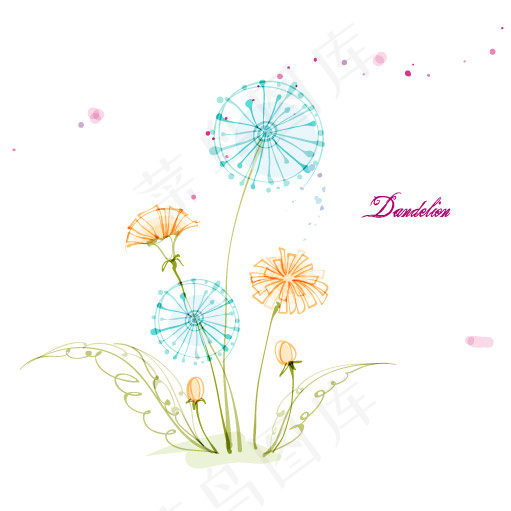 蒲公英花卉设计矢量图