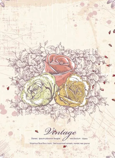 花边图片eps,ai矢量模版下载