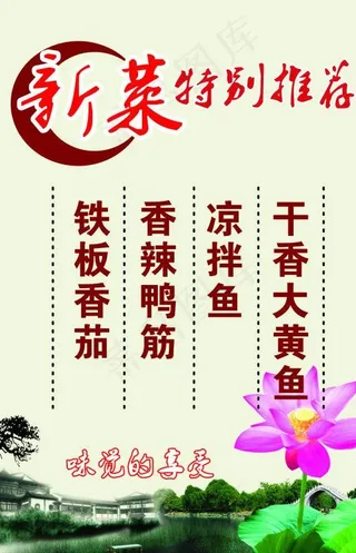 新菜推荐图片