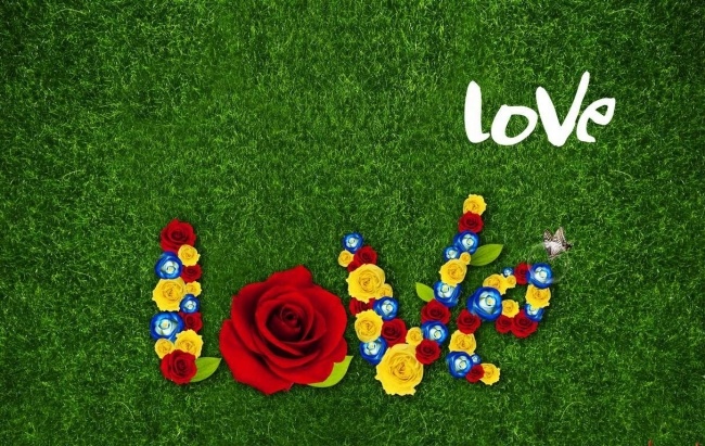 草地上的love花朵英文