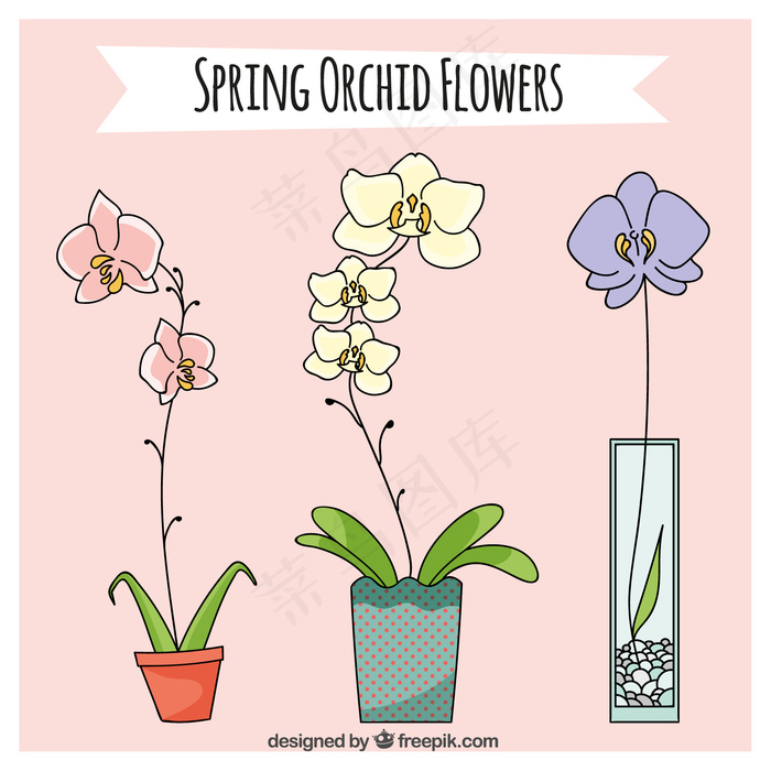 美丽的春天兰花花