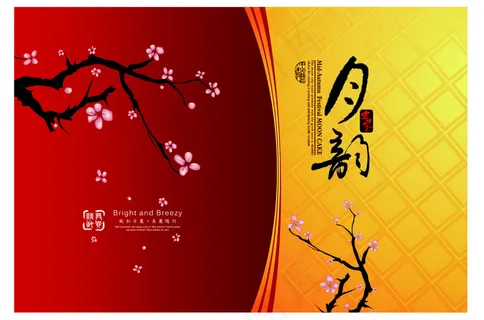 包装设计中秋礼盒 風和日麗