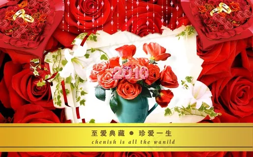 玫瑰情人节图片 玫瑰情人节图片